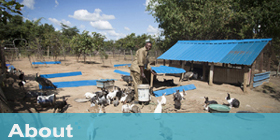 About the Mokorro Ranch